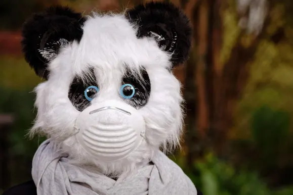 HeySpin Kazino Pagalba